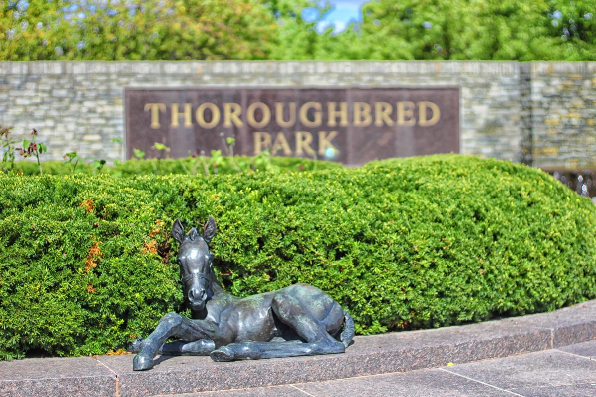 Thoroughbred Park Lexington, KY VisitLex