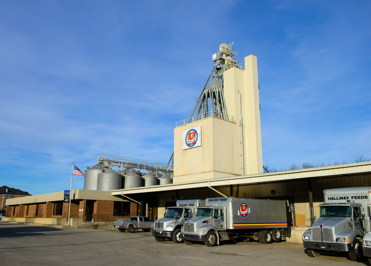 Hallway Feeds Lexington, KY VisitLex