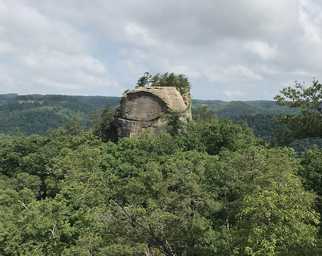 Pilot Knob Nature Preserve Lexington, KY VisitLex