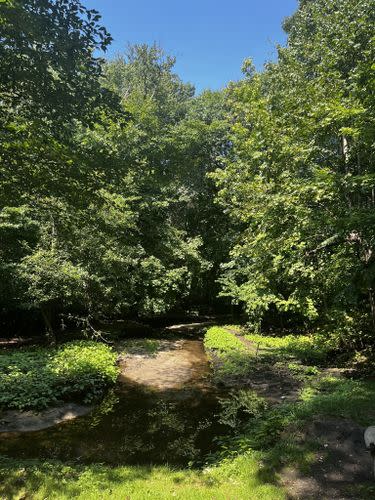 Escape to the Urban Oasis: Valley Stream State Park, New York