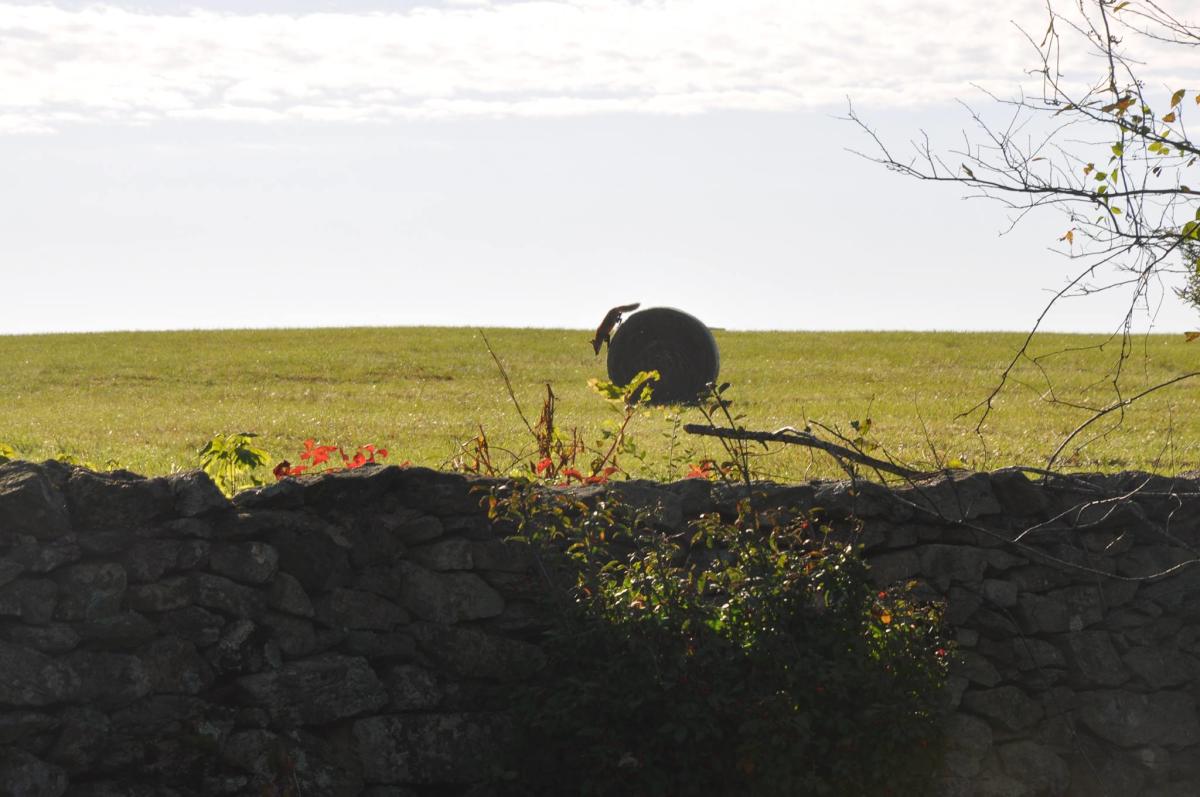 The Virginia Piedmont Heritage Area Association