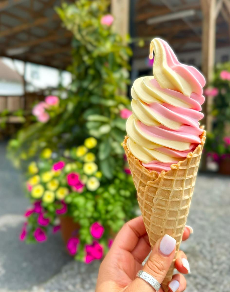 Coneheads Ice Cream Oneida