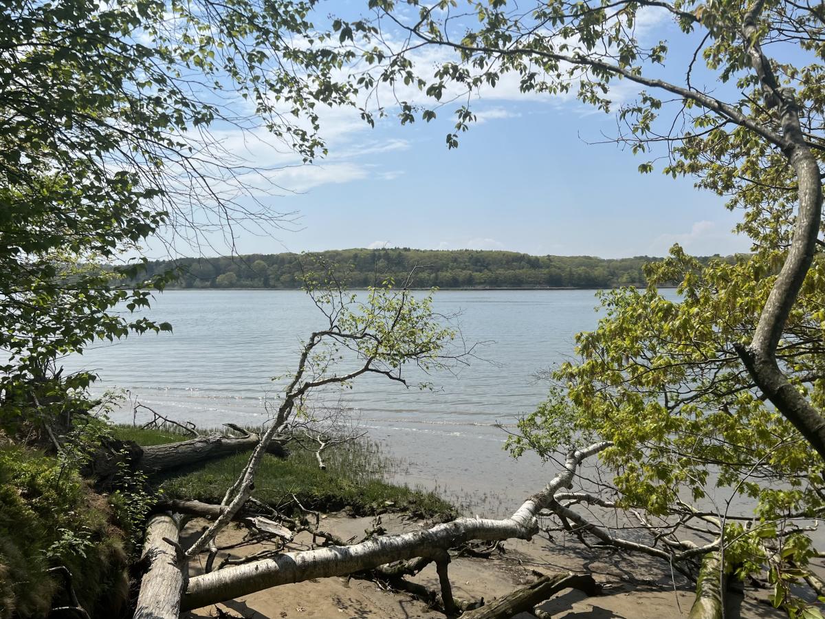 Gilsland Farm Audubon Center: Why This Falmouth Sanctuary Is More Than Just a Birding Spot