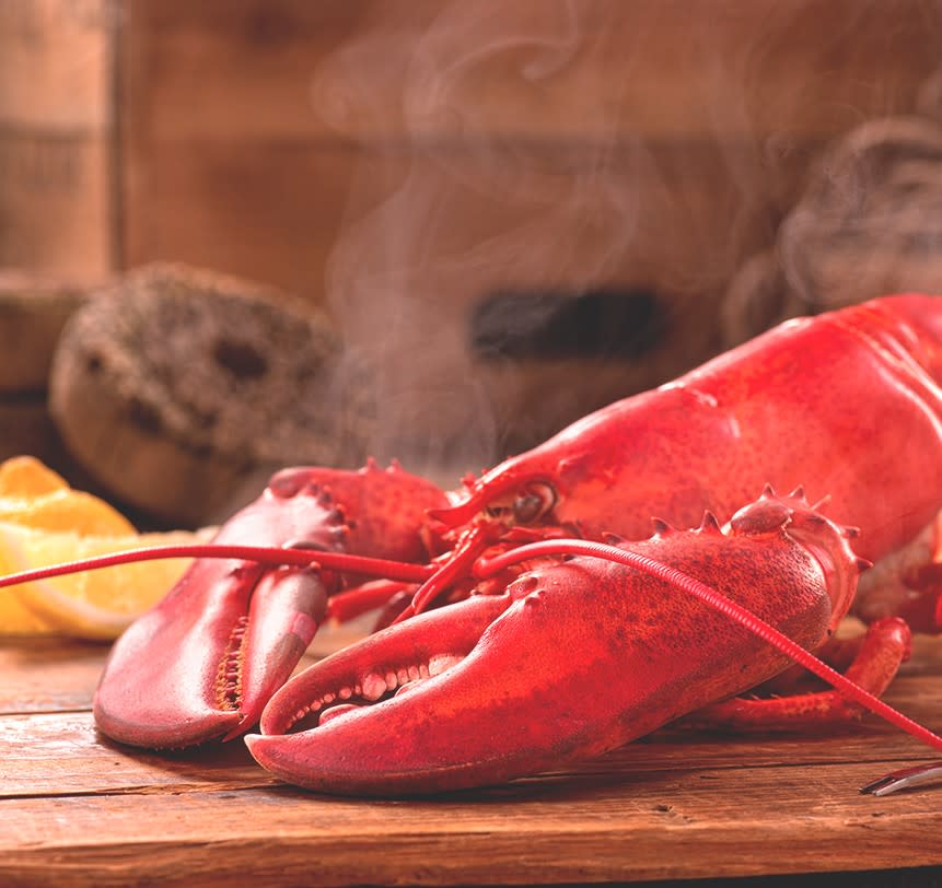 Maine Lobster Outlet