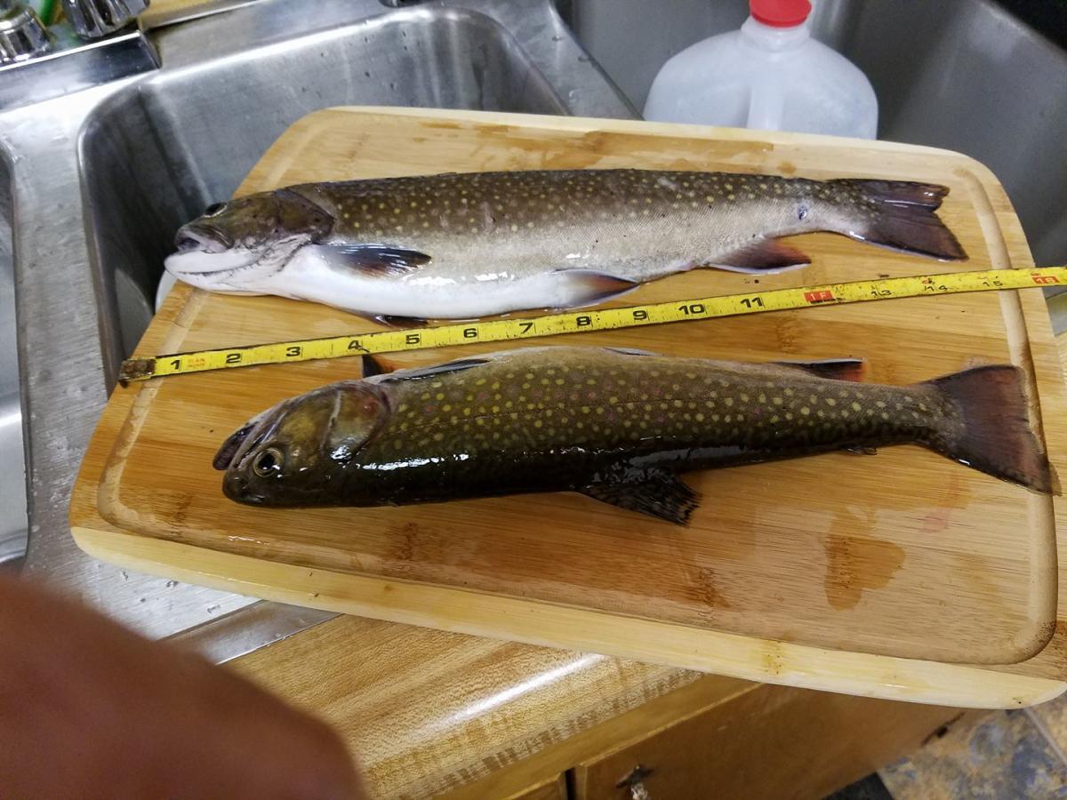 Patten Hunting Lodge