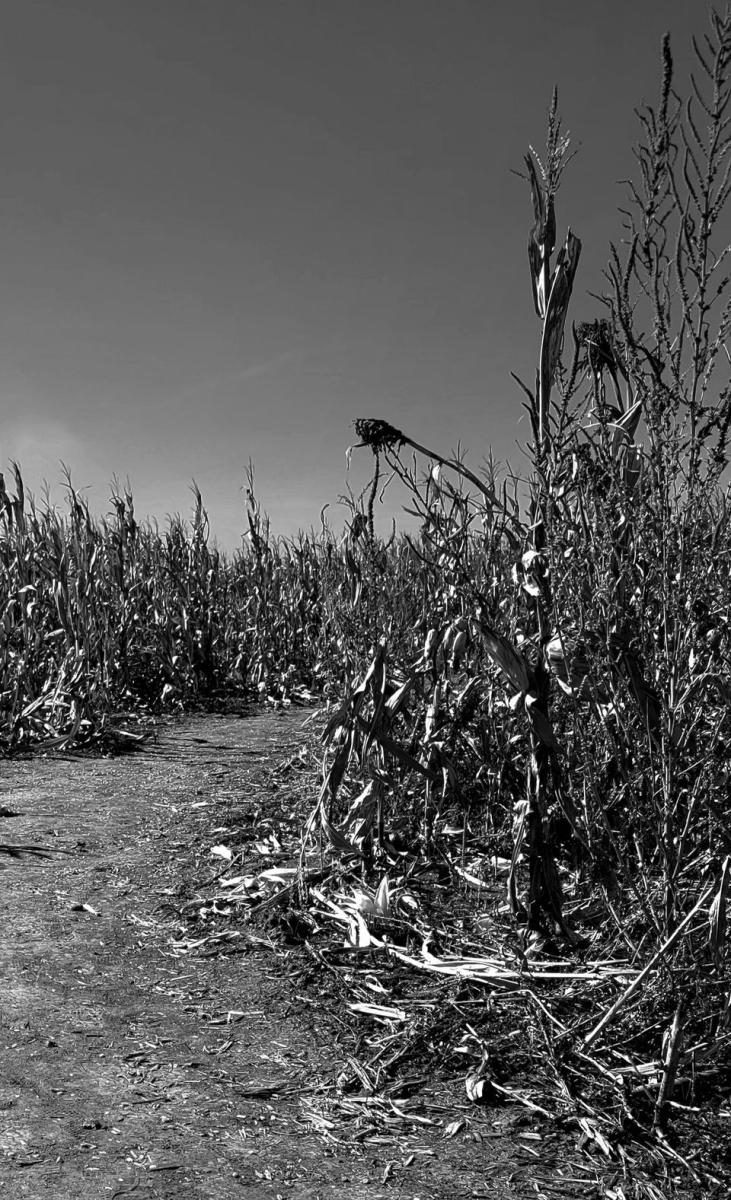 Scary Maze Nights at Britt's!