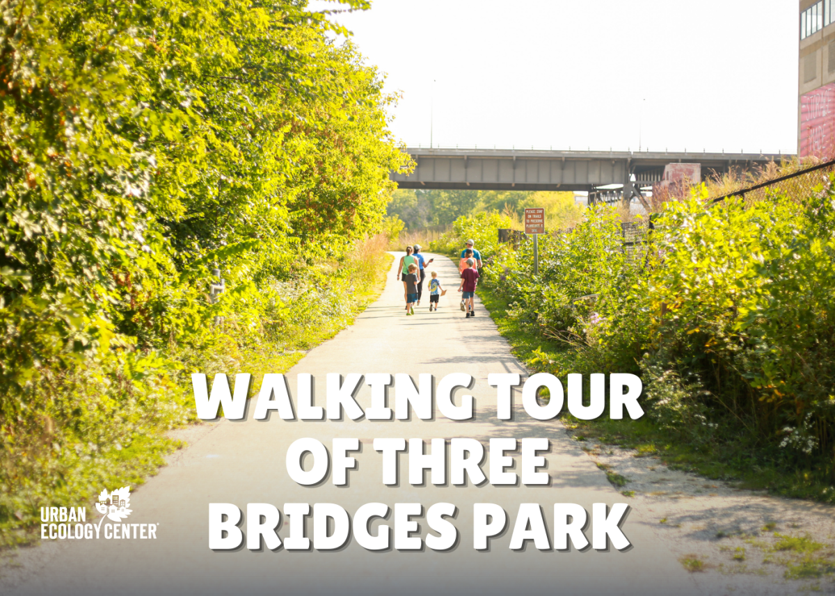 Walking Tour of Three Bridges Park Milwaukee WI 53215