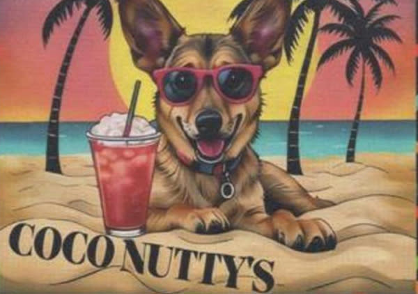 Coco Nutty's Ice Cream and Frozen Treats