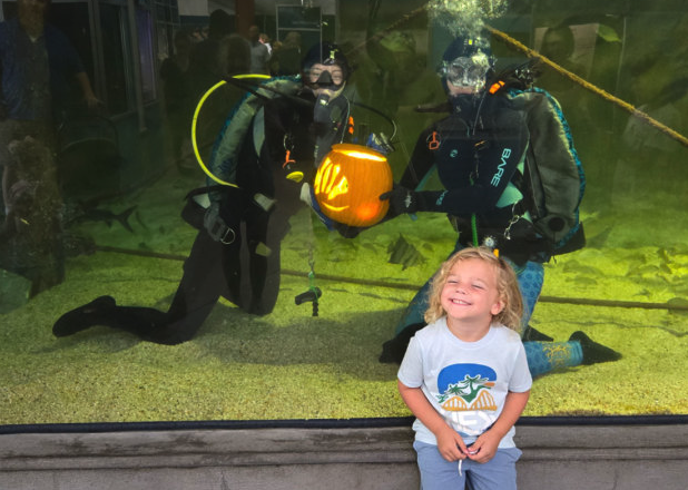 Underwater Pumpkin Carving at the Alabama Aquarium