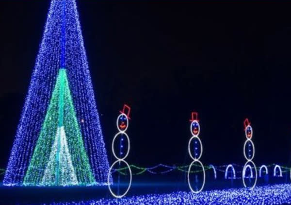 Christmas Nights in Lights Stroll