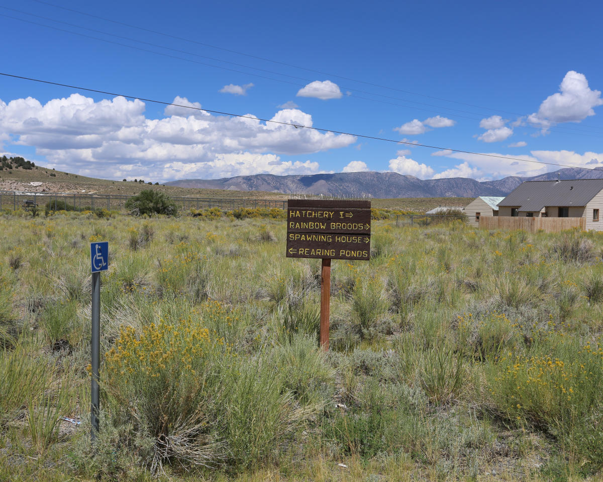 Hot Creek Trout Hatchery Tours