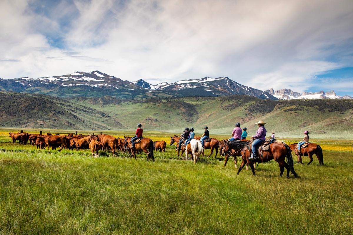 Hunnicutt Ranch Hunewill Guest Ranch