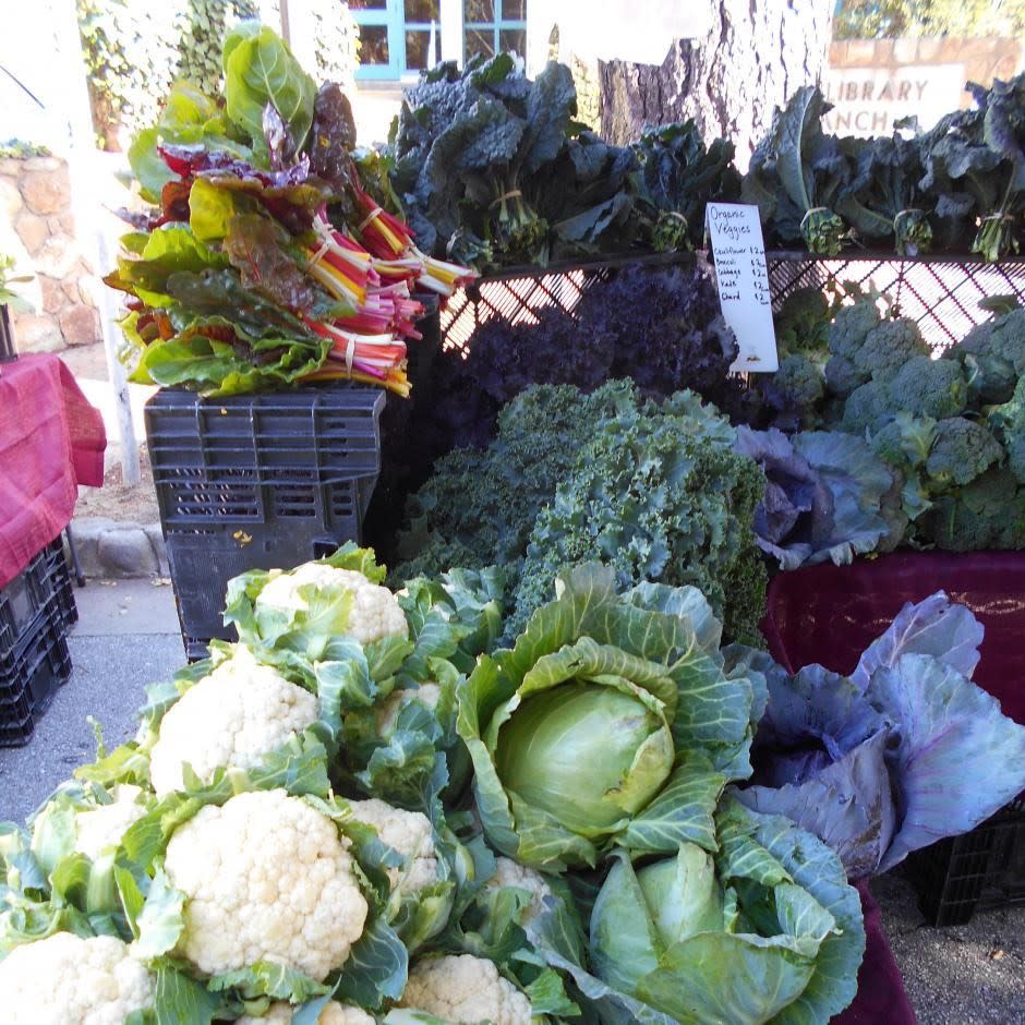CarmelbytheSea Farmer's Market
