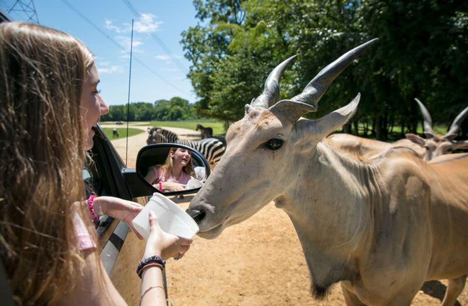 Alabama Safari Park Hope Hull, AL