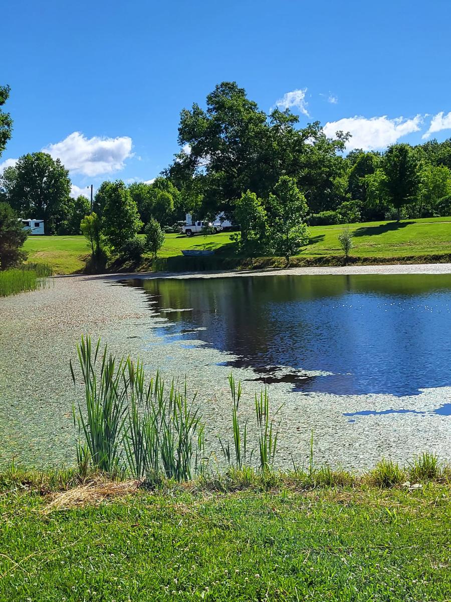 Poppy Mountain Campground