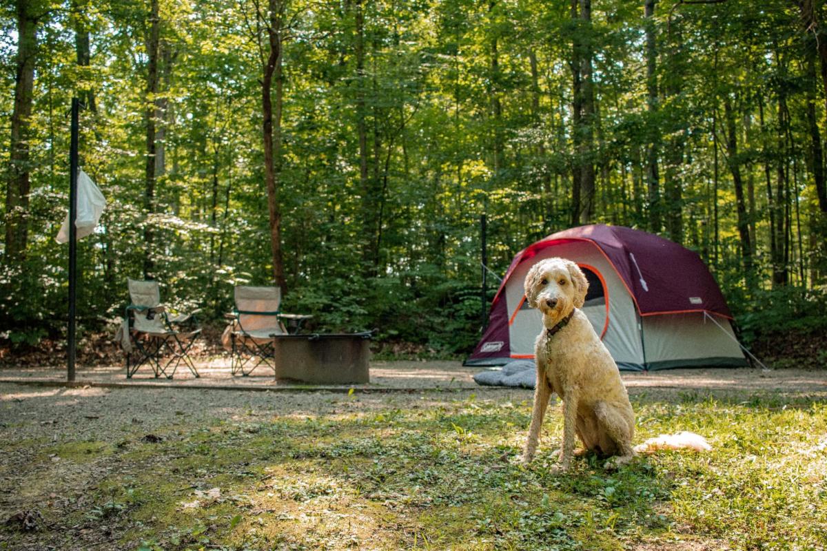 Twin Knobs Campground 1726