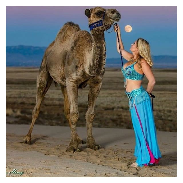 A to Z Film Animals Jarales, NM 87023