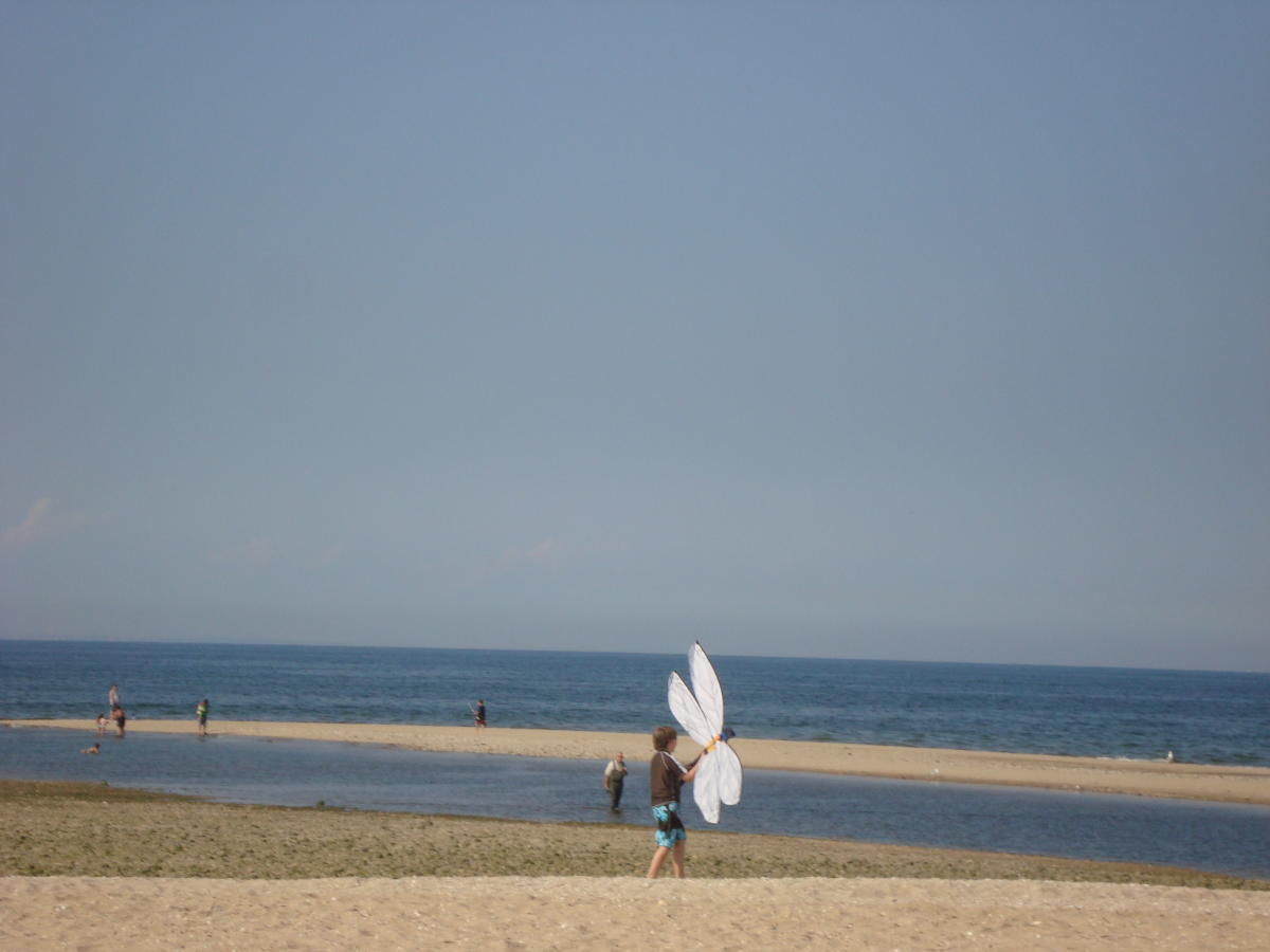 6046_380_Ashroken158_5c741968-