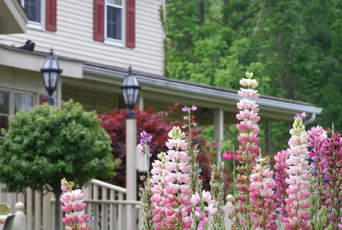 Asa Ransom House | Clarence, NY 14031