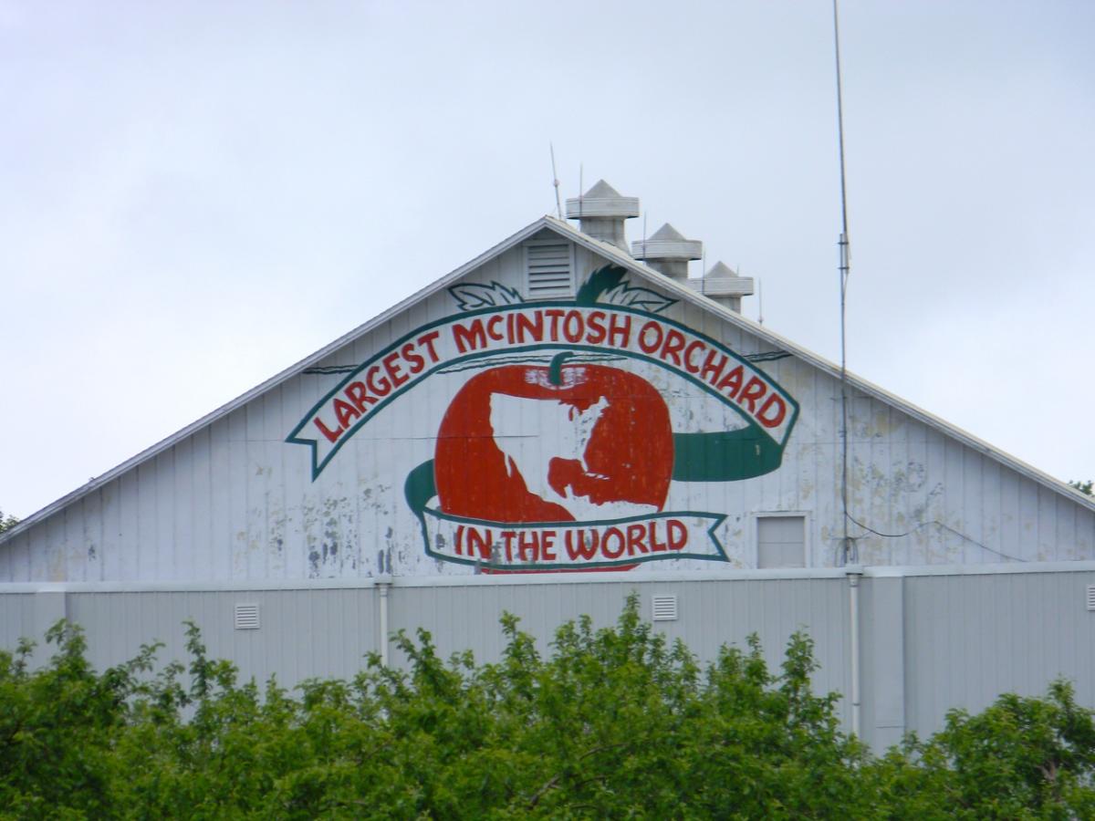 Chazy Orchards  The Largest McIntosh Apple Orchard in the World!