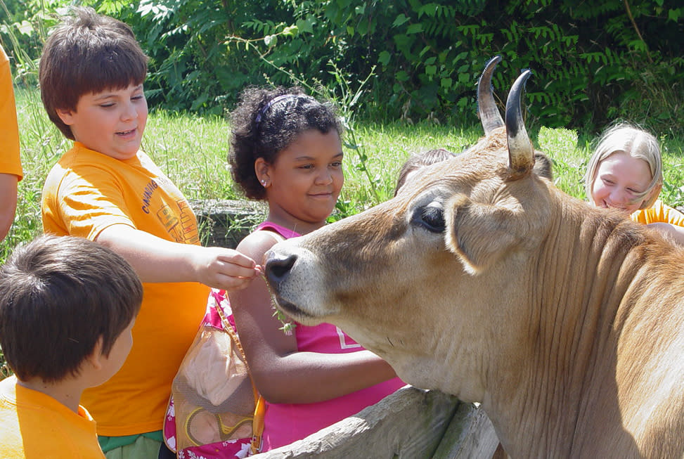 Cracker Box Palace at Historic Alasa Farms Sodus, NY 14551