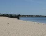 Corey Beach Corey Beach | Blue Point, NY 11715