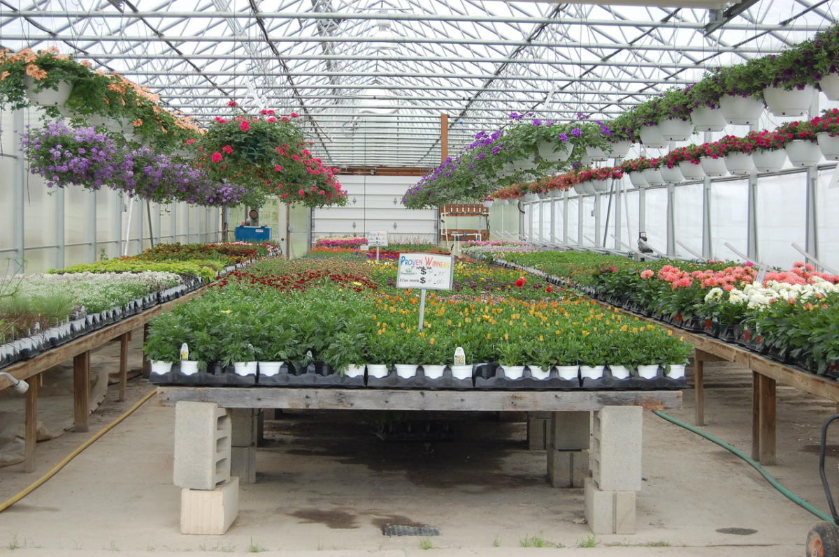 Samascott's Garden Market Kinderhook, NY 12106