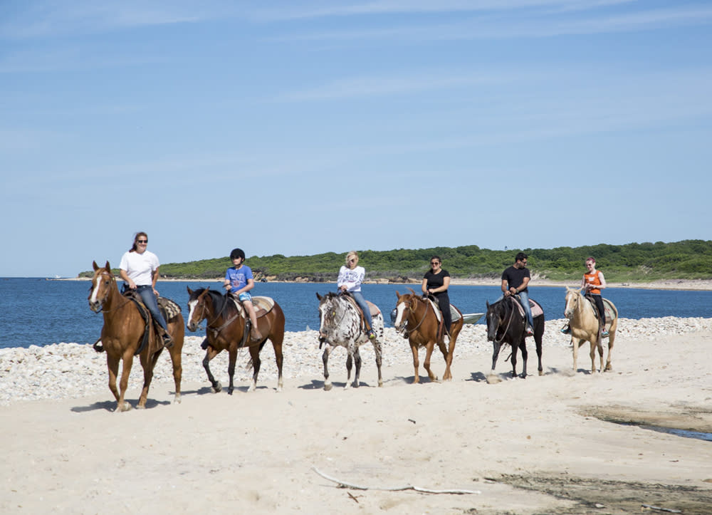 Deep Well Ranch Deep Hollow Ranch | Montauk, NY 11954
