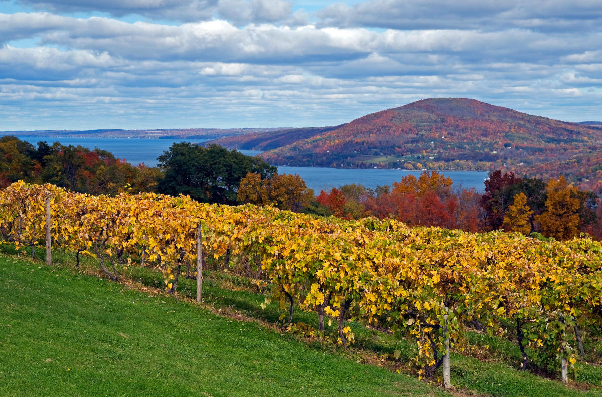 Canandaigua Lake Wine Trail Monroe and Ontario Counties NY
