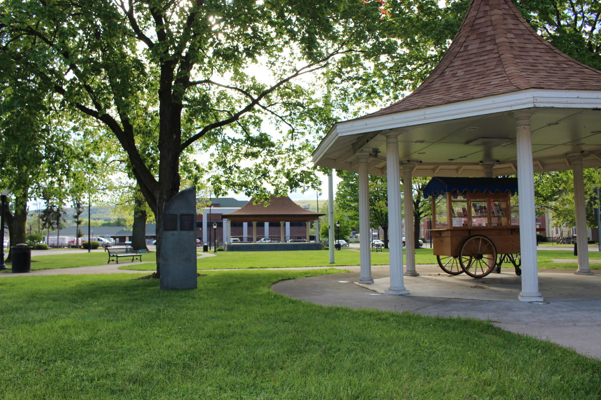 Commerce Chenango Norwich, NY 13815