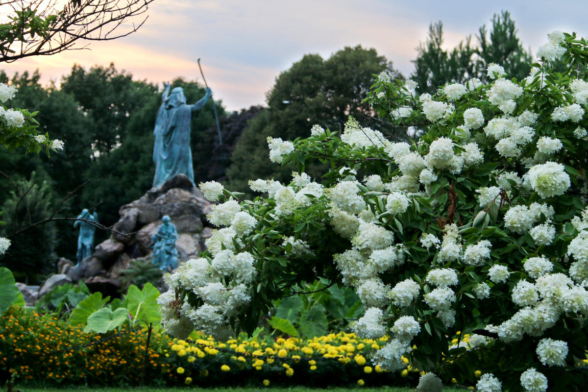 Washington Park Albany, NY 12203