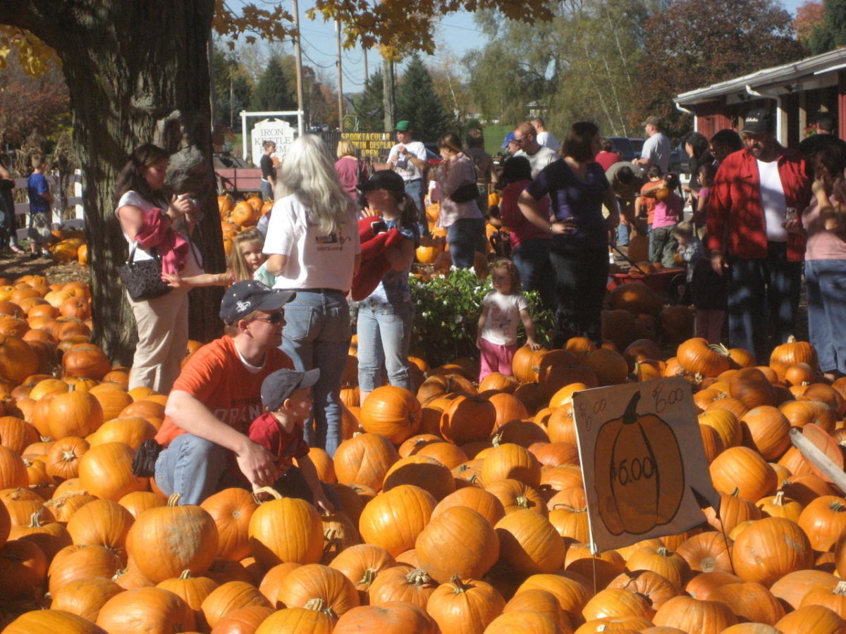 Iron Kettle Farm Candor, NY 13743
