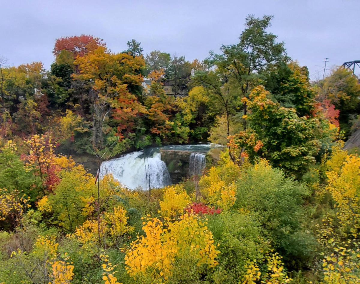 Medina Falls Medina, NY 14103