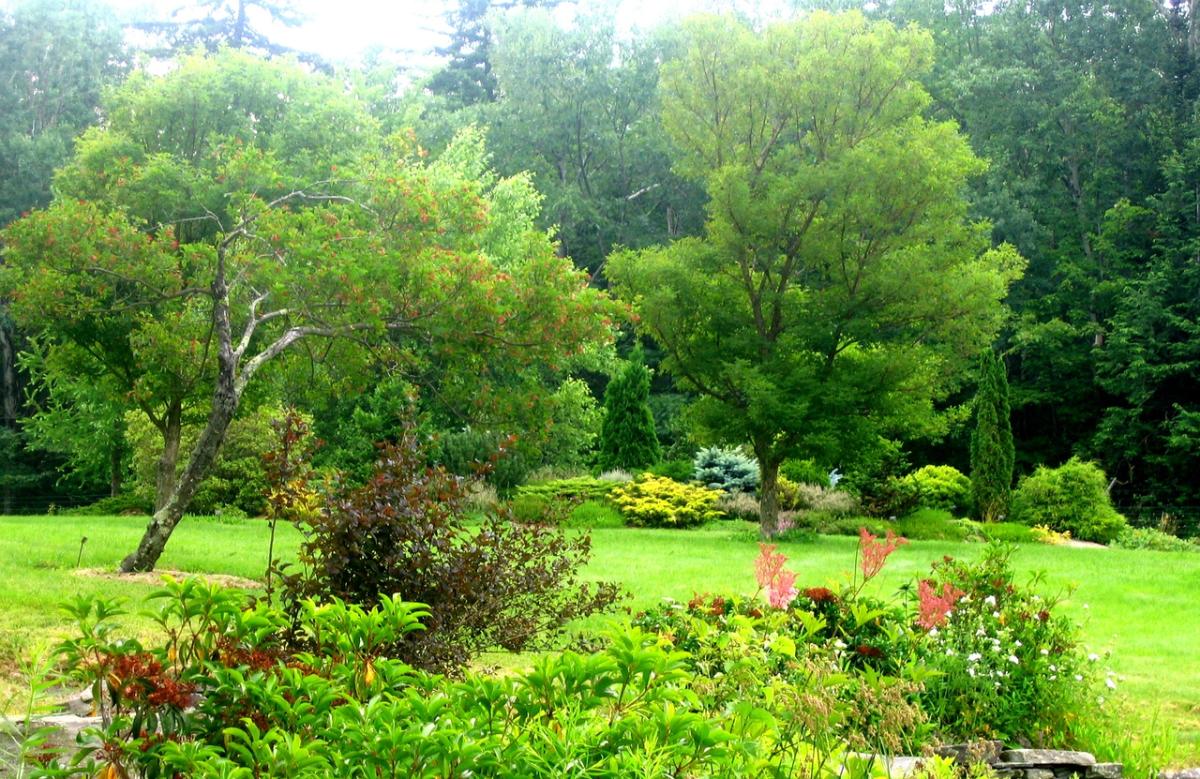 Mountain Top Arboretum Tannersville, NY 12485