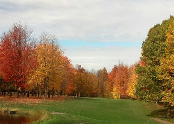 Springbrook Greens State Golf Course Sterling NY 13156
