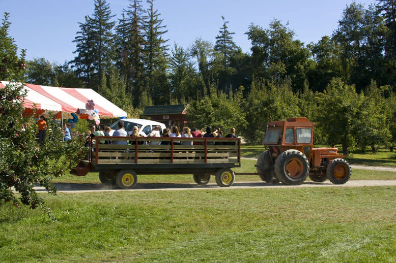 Hurds Family Farm Modena, NY 12548