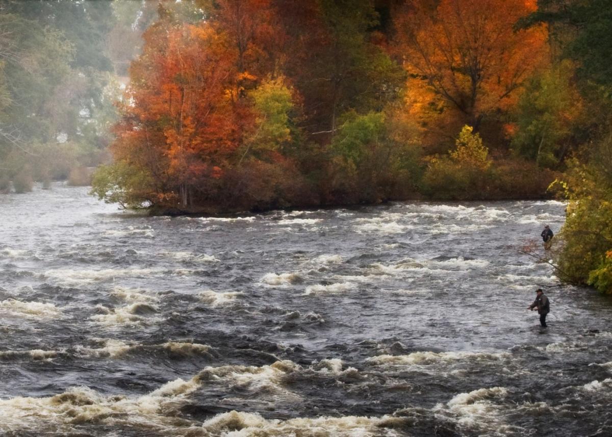 Salmon River Pulaski, NY 13142