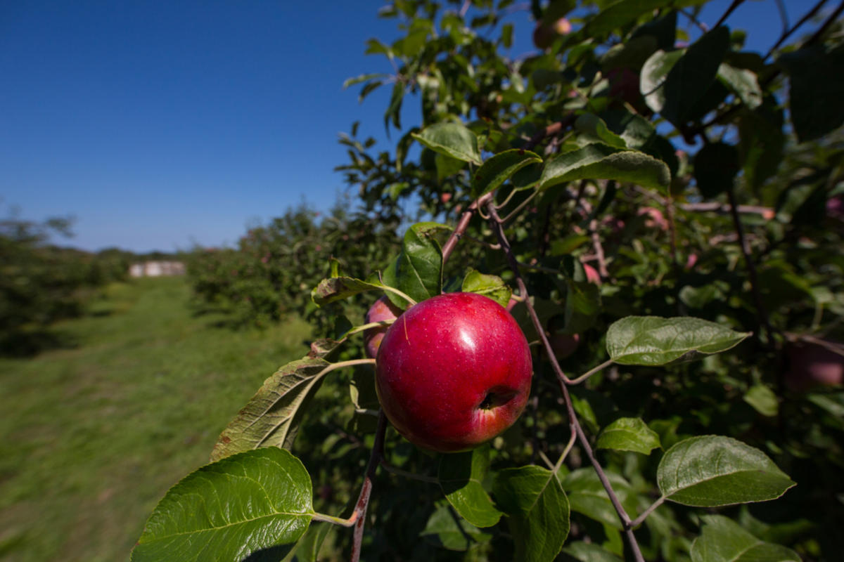 Twin-Star-Day-1-61_23f298cc-