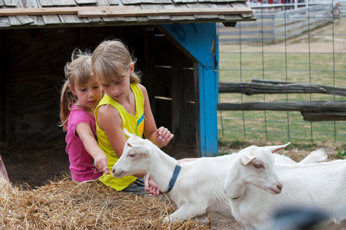 Old McDonald's Farm Village Sackets Harbor, NY 13685