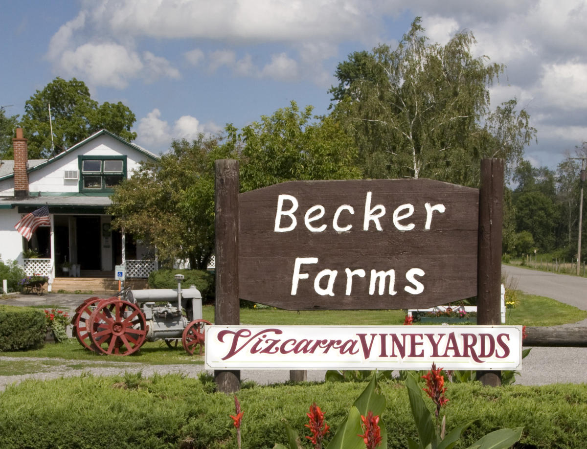 Becker Farms & Vizcarra Vineyards | Gasport, NY 14067