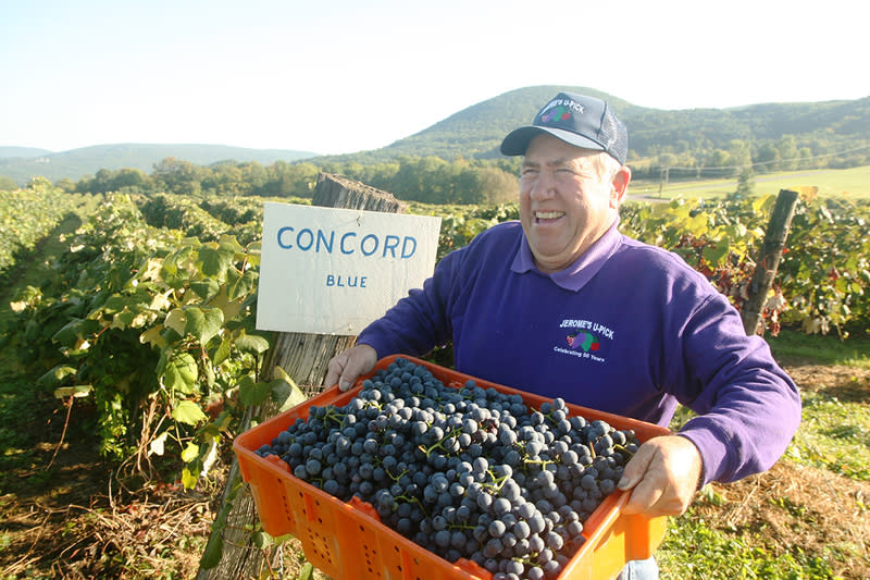 Jerome's UPick Naples, NY 14512