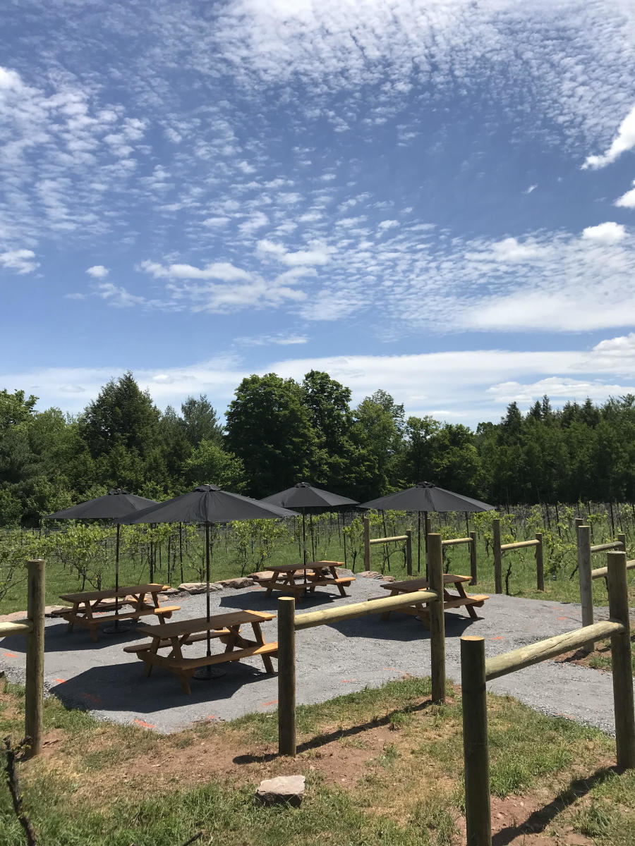 The Vineyard at Windham Windham, NY 12496