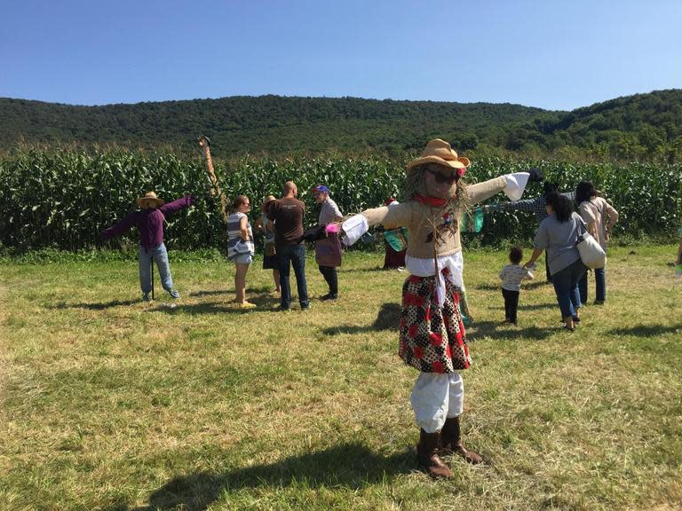 Bovina Farm Day Bovina, NY 13740