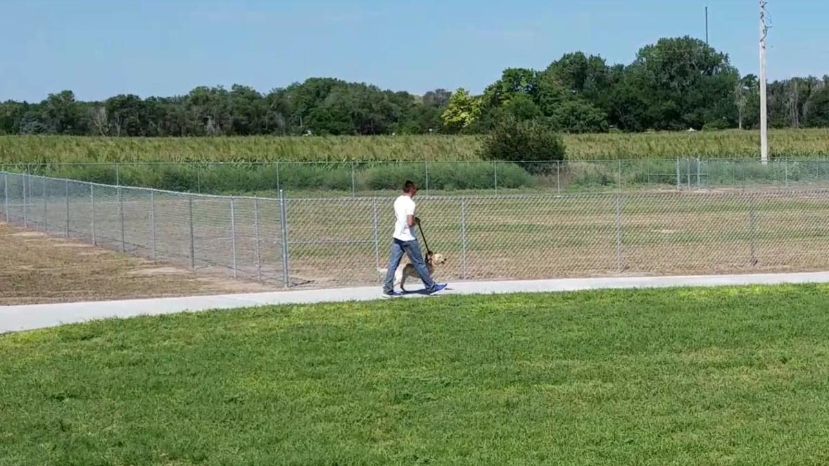 Anchor Memorial Park & Dog Park, Sutherland