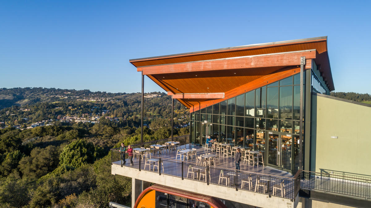 18+ Oakland Zoo Birthday Party