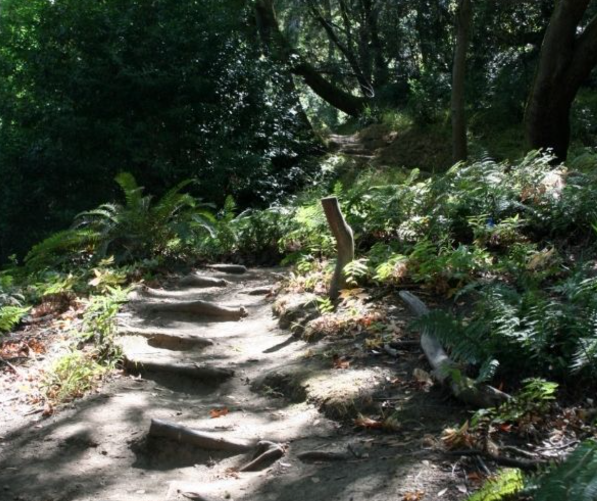 Garber Park Oakland CA