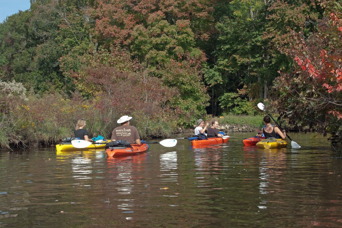 Ayers Creek Adventures, LLC
