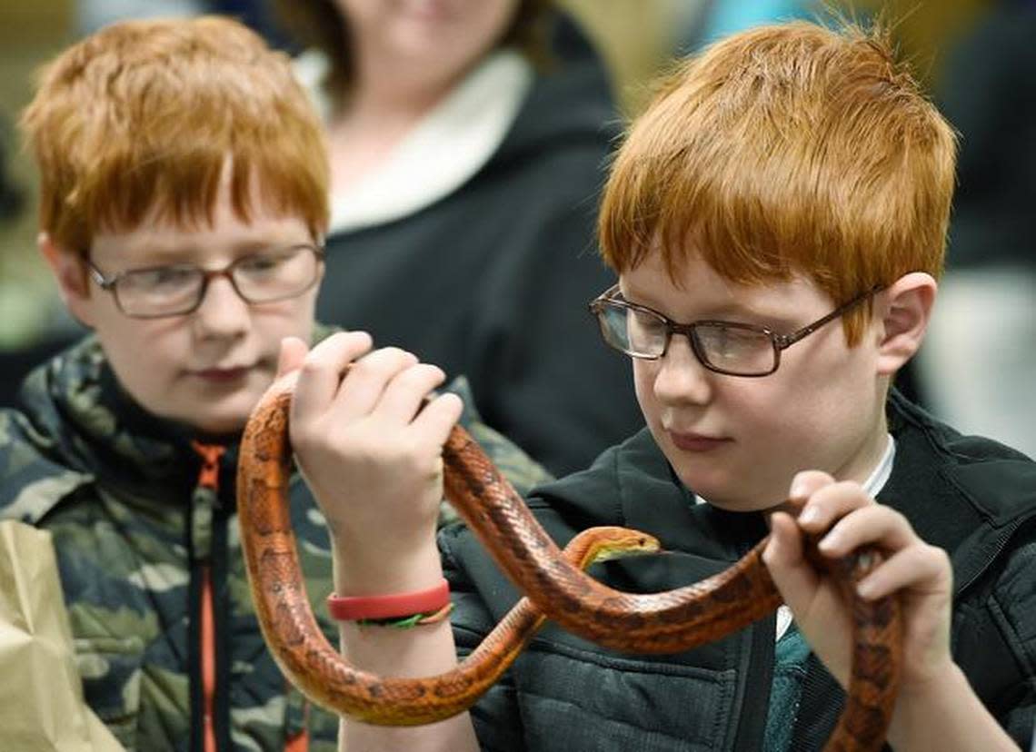 KC Reptile Show
