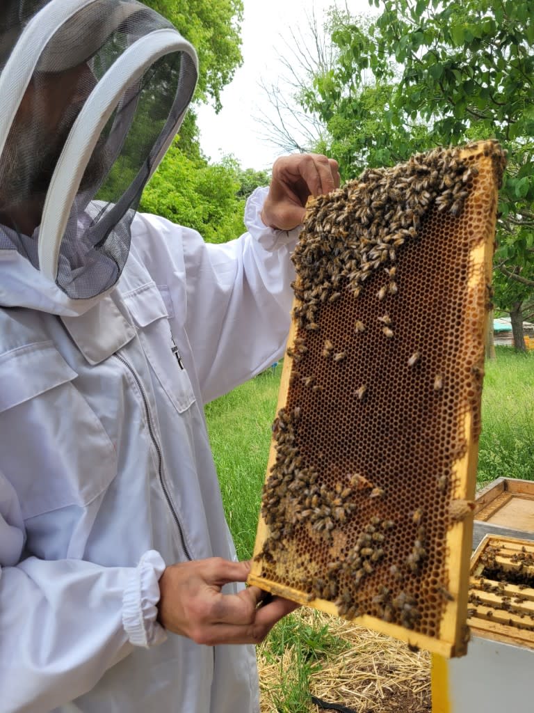 The Ultimate Honey Bee Encounter