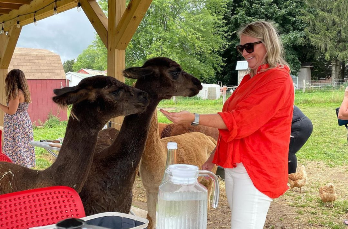 Alpaca Lunch Picnic